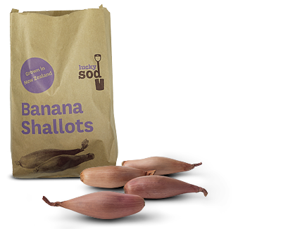 Substitutes for Banana Shallot